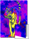 Tiger Endangered Species