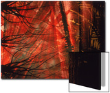 Abstract Image in Red and Black