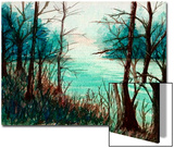 Tranquil River Scene