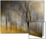 Composited Image of Trees