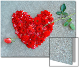 Rose Pierces Heart of Roses on Sandy Backdrop