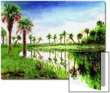 Florida Landscape  Palm Trees Reflected on Water