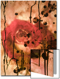 Red Rose Through Paper with Ink Drawing