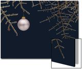 Ice on Branches