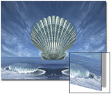 Shell Floating Above Ocean Tide with Blue Sky