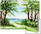 Australian Pine and Seagrape Line Path to Beach