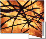 Abstract Image in Yellow and Black