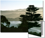 Hazy Mountain Lake  Seen from Top of Hill in Tiburon  Northern California  USA