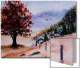 Huge Orange Tree in Foreground  Two Barns and Fence in Background
