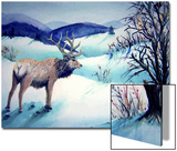 Large Stag Surveys Valley