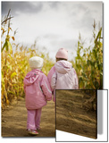 Two Children in Pink  Walking Through Cornfield