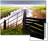 Fence  Dyke and Horizon  Holland