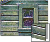 Window of Abandoned Building
