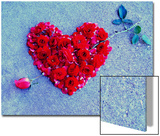 Rose Pierces Heart of Roses on Blue Backdrop