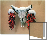 Snowy Cow Skull on Wall with Chili Ristras Hanging on Horns  Santa Fe  New Mexico  USA