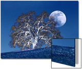Oak Tree and Moonrise