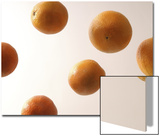 6 Oranges from Underneath