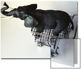 Toy Elephant in Toy Supermarket Cart