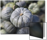 Squash