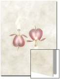 Still Life of Flowers