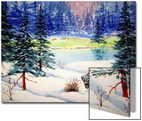 Bison in Wintery Snow Scene