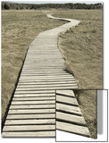 Boardwalk across a Tidal Marsh Leading to a Wooden Area at a Wildlife Sanctuary