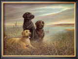 "All Grown Up on Grassy Sound" Pre-made-framed Framed Art Print