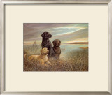 "All Grown Up on Grassy Sound" Pre-made-framed Framed Art Print