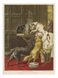 Dogs and Xmas Pudding