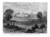 Combermere Abbey