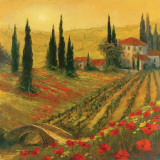 Poppies of Toscano I