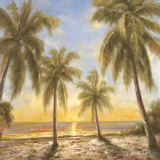 Caribbean Waters