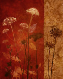 Spice Nature II