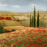 Tuscan Cypress II