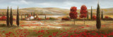 Tuscan Poppies II