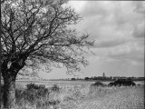 A Suffolk (England) Landscape  Near Blythburgh  with its Church Tower in the Distance