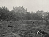 Vagrants Asleep in Green Park  Central London
