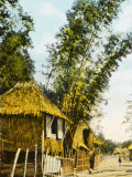 Philippines - Manila - Traditional Bamboo Stilt Houses
