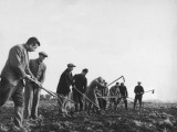Refugees Working in the Fields Near Kitchener Camp During World War Ii