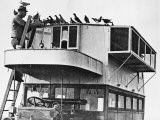 French Communications Via Carrier Pigeons During World War I