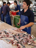 Fish Market  Mercado Dos Lavradores  Funchal  Madeira
