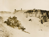 Egyptian Remount Depot WWI