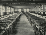 Salvation Army Elevator Dormitory
