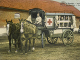 Horse Ambulance at Beverloo Training Camp  Belgium