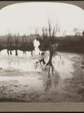 No Man's Land