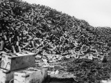 Shell Cases 1916