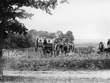 Royal Horse Artillery 1918