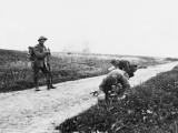 Outtersteene Ridge 1918