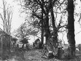 Renault Tanks 1916