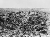 Shell Crater at the Chemin Des Dames on the Western Front During World War I